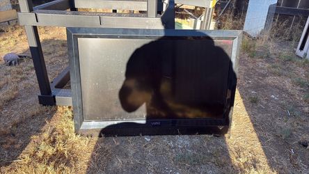 Vizio Flat Screen TV