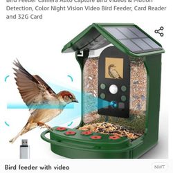 Bird Feeder Video 