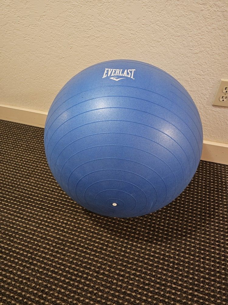 Everlast Exercise Ball