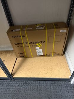 portable tv