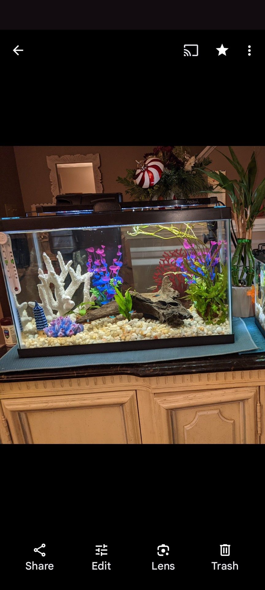 FISH TANK++