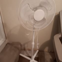 Upright Standong Fan