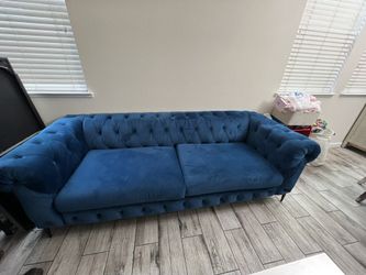 velvet couch