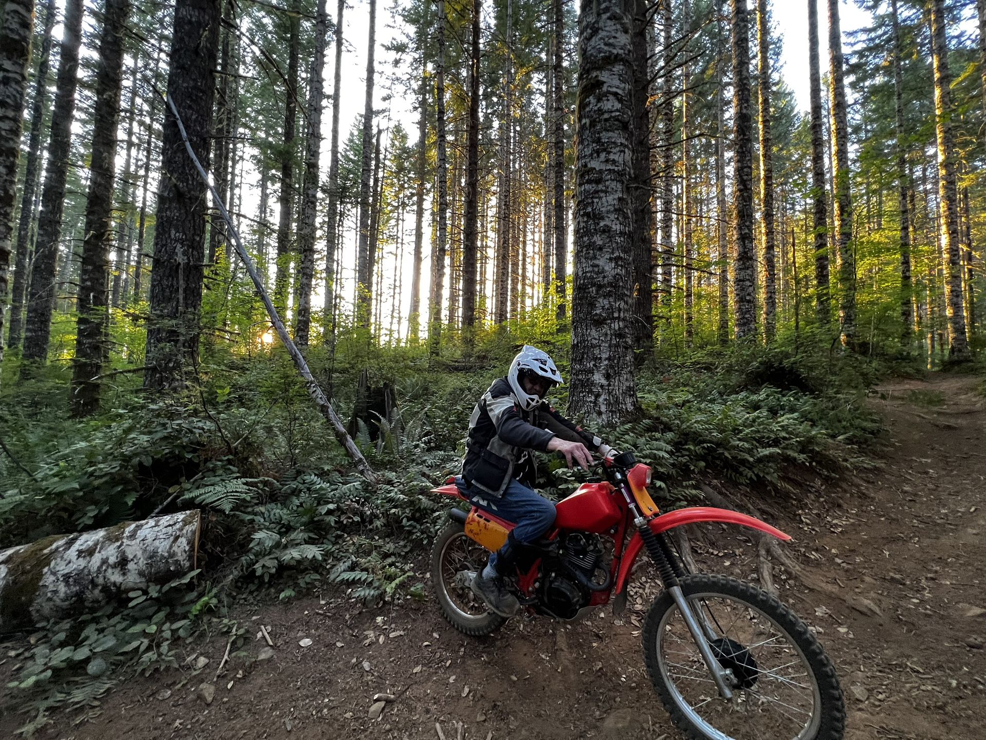 1983 Honda XR200R