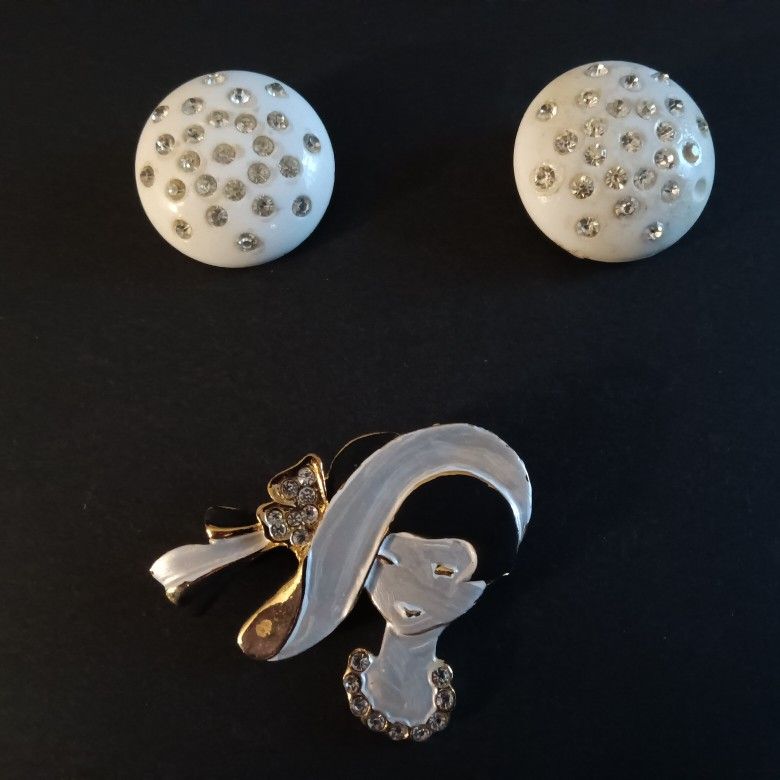Vintage Brooch And Clip On Earrings