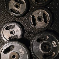 standard  chrome  rubber weights 
