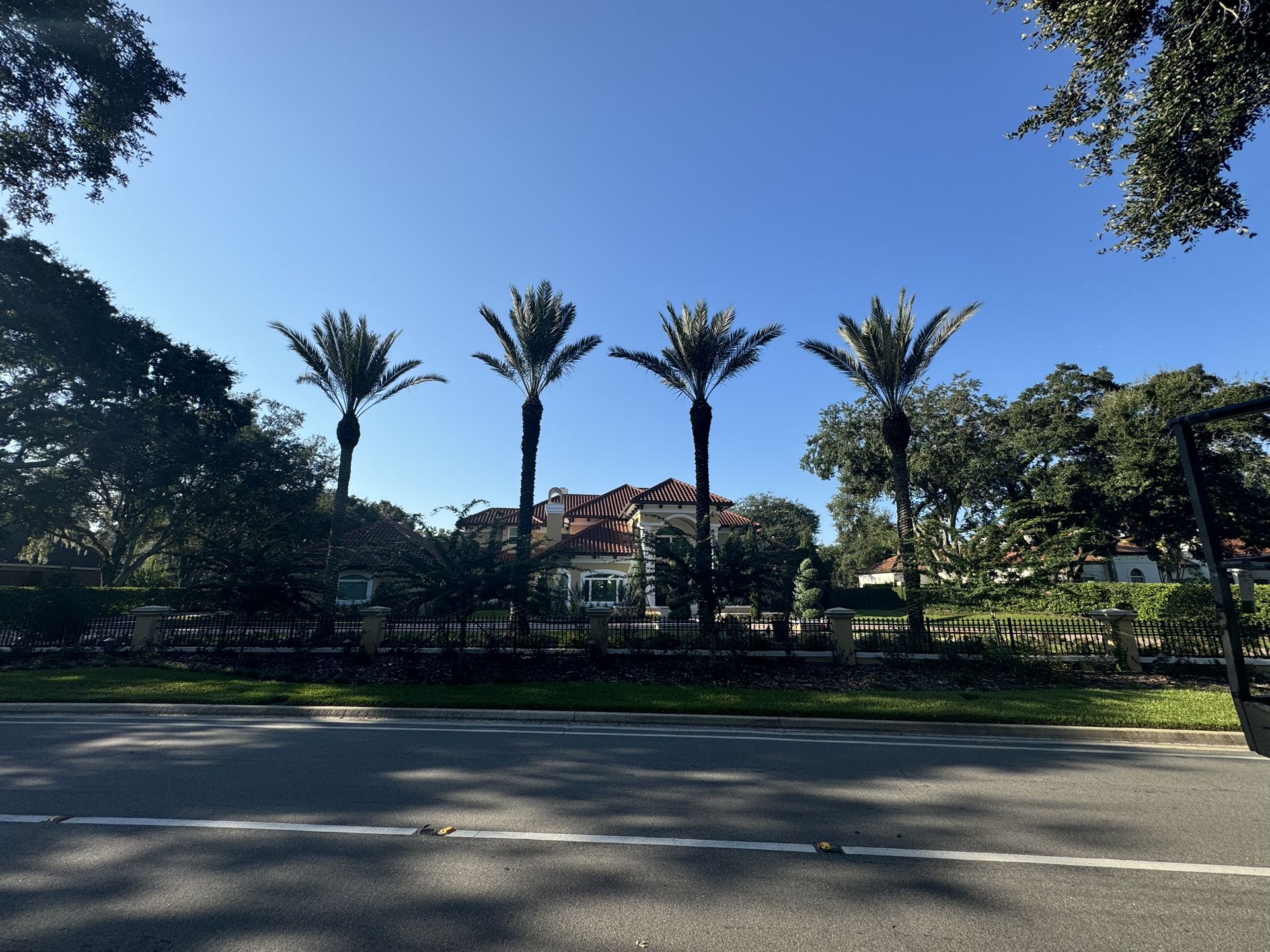 Trees for Sale in Spring Hill, FL OfferUp
