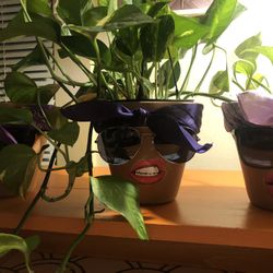 Playful Pots Perfect For Your Plant Babies 