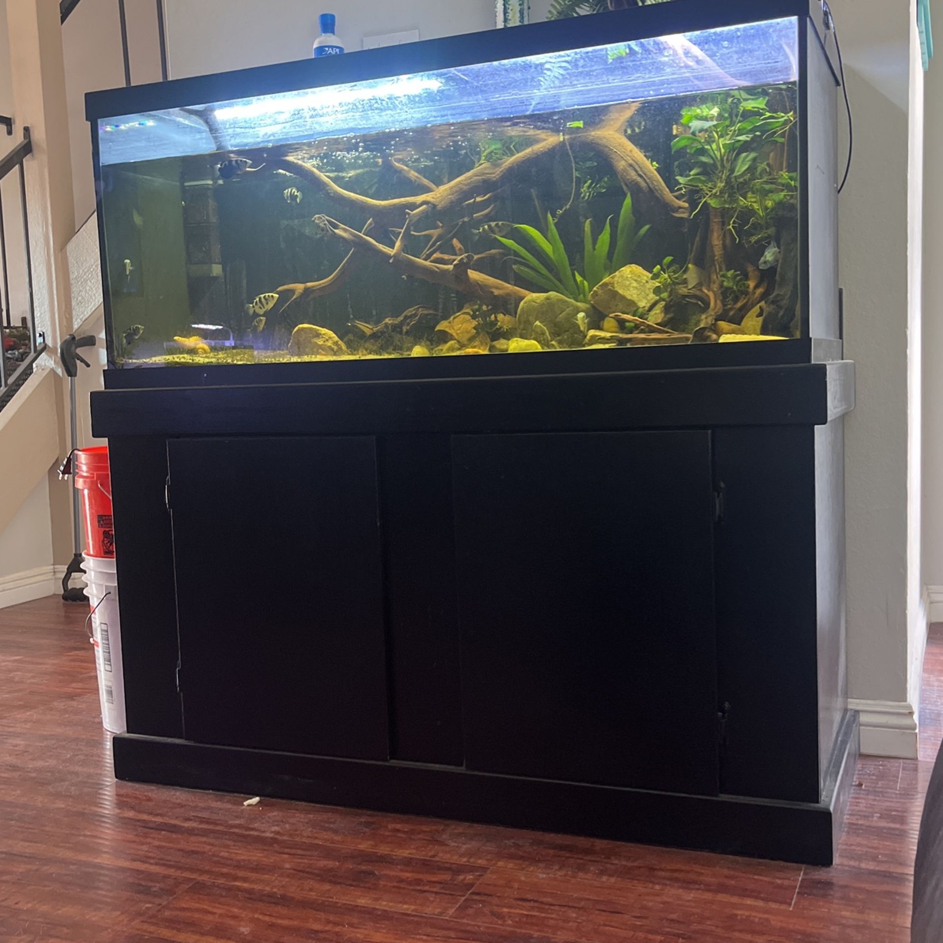80 Gallon Fish Tank And Stand for Sale in Garden Grove, CA - OfferUp