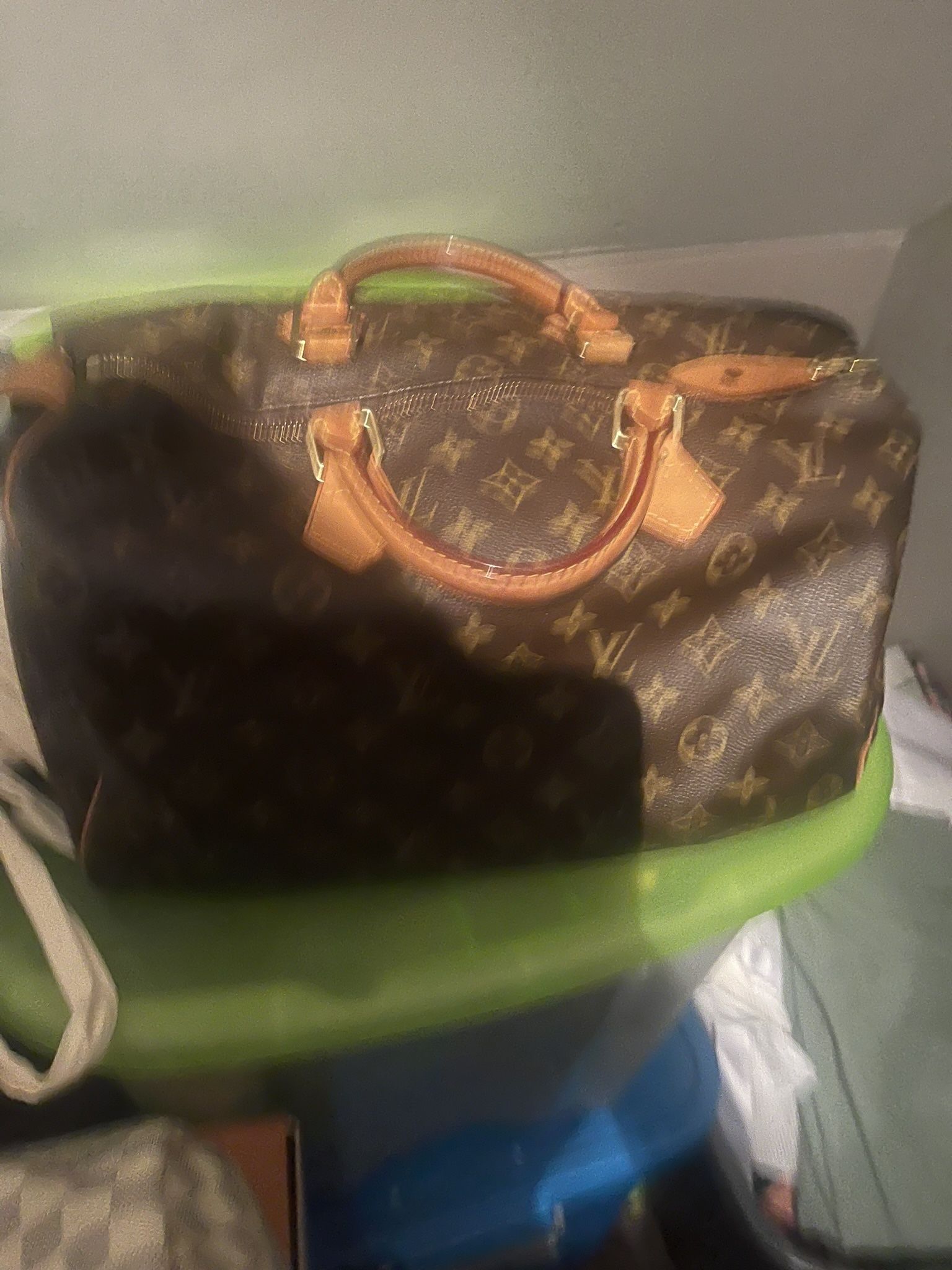 Louis Vuitton Purse