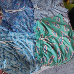 Chubbies Men's shorts 