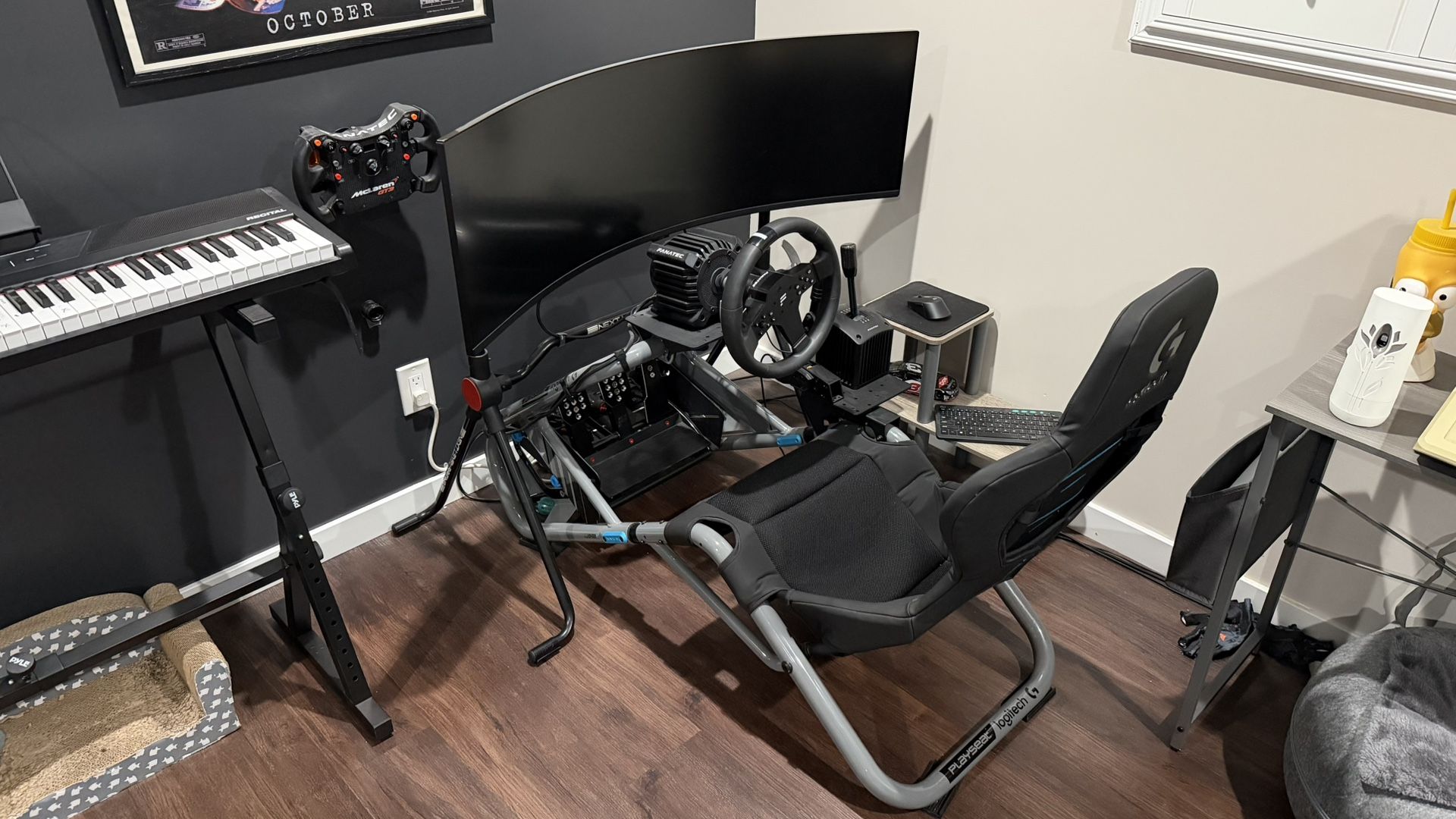 Complete Sim Racing Setup