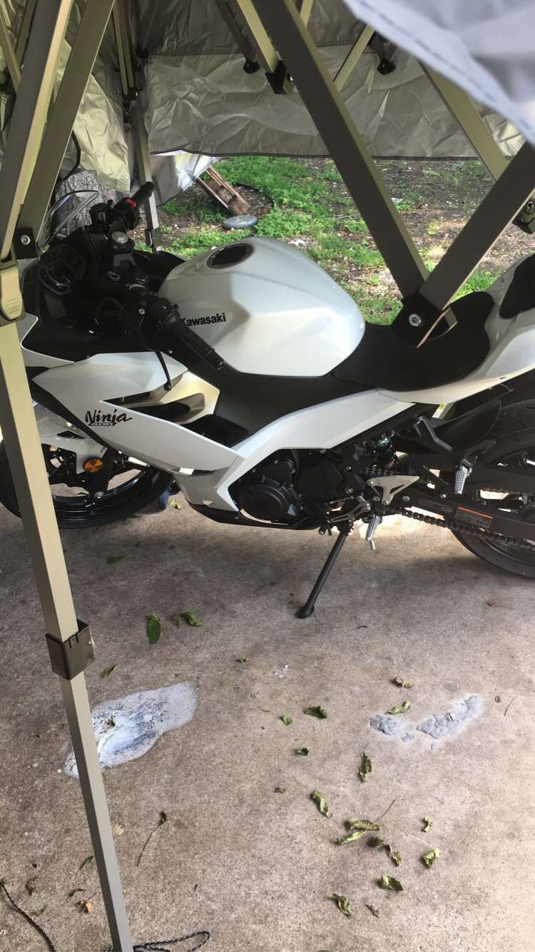 2021 Ninja Kawasaki 400 White 