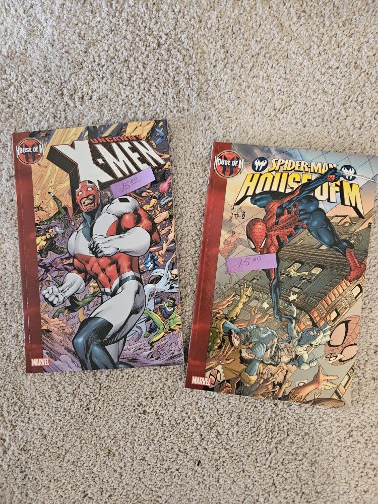 X-MAN AND SPIDER MAN