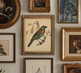 Vintage Brass Filigree Framed Bird Print Grandmillennial Wall Art wall hanging or tabletop Gallery Wall Decor