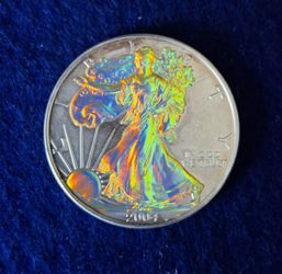 RARE 2004 Holographic Silver Eagle 