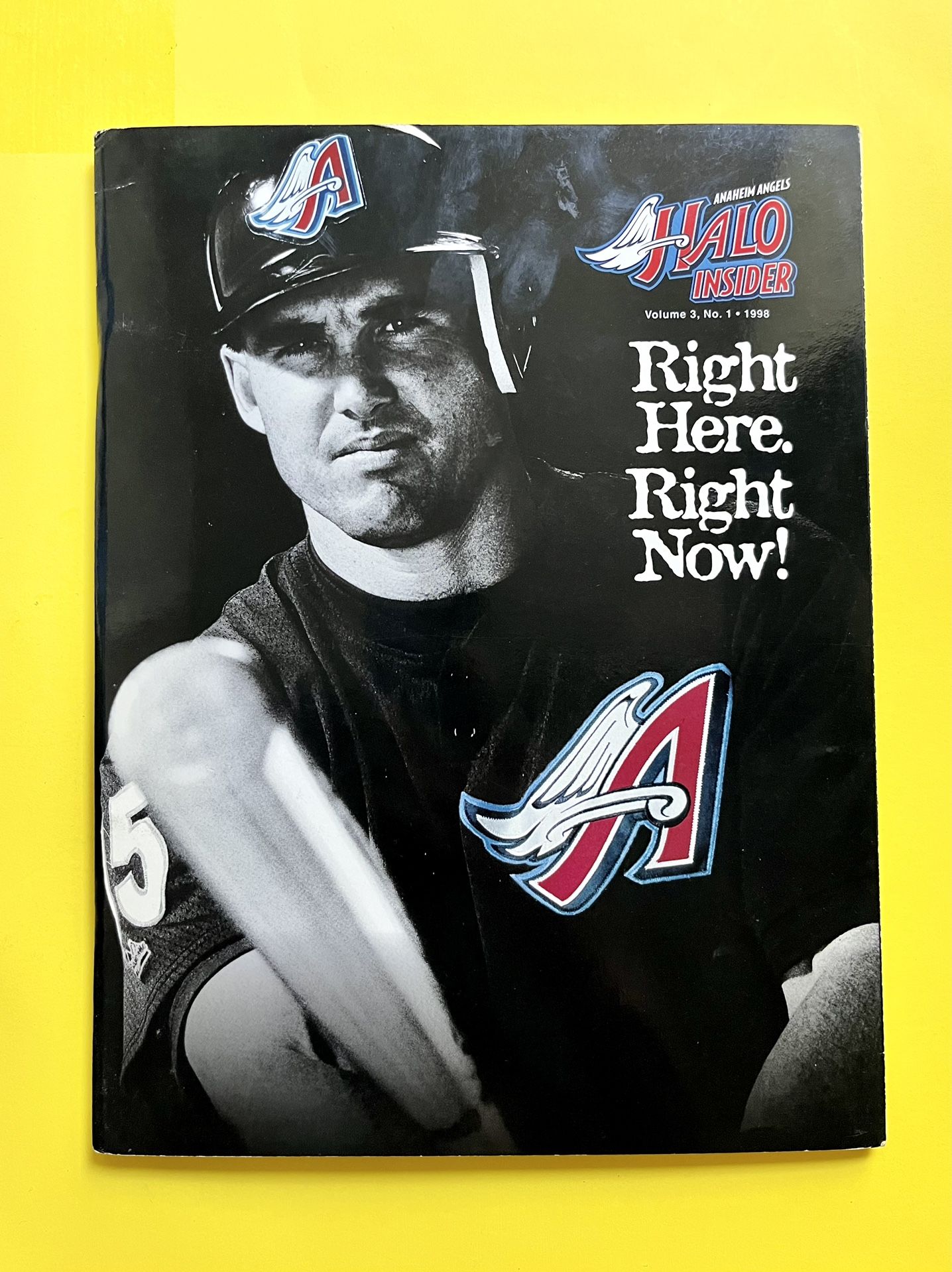 Anaheim Angels Halo Insider Program 2008 Tim Salmon