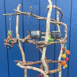 Parrot Perch Tree - A Great New Hangout Spot For Mr Feathers !! 