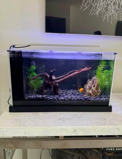 5 gallon fish tank