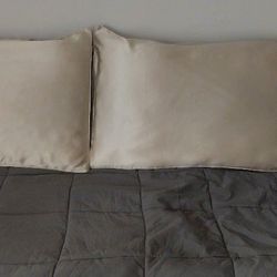 Silk Pillow- 22 Momme- Stanndard- Zipper Closure 