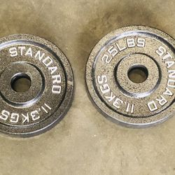 25 lbs. Cast Iron Olympic Plates (Pair)