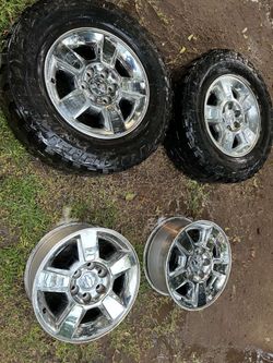 Ltz Stocks No Curb Rashes 