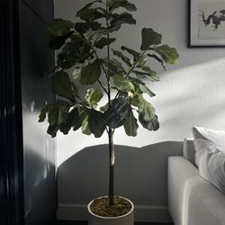Faux Fiddle Leaf Fig In Pot