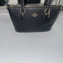 Mini Coach bag
