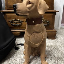 Bluetooth dog speaker