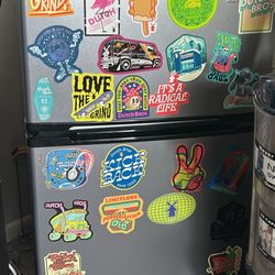 Mini Fridge