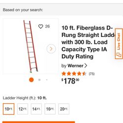 Werner 10 foot straight ladder