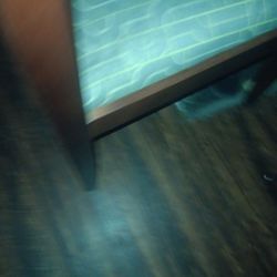 Philippe Richard Pressure Cooker