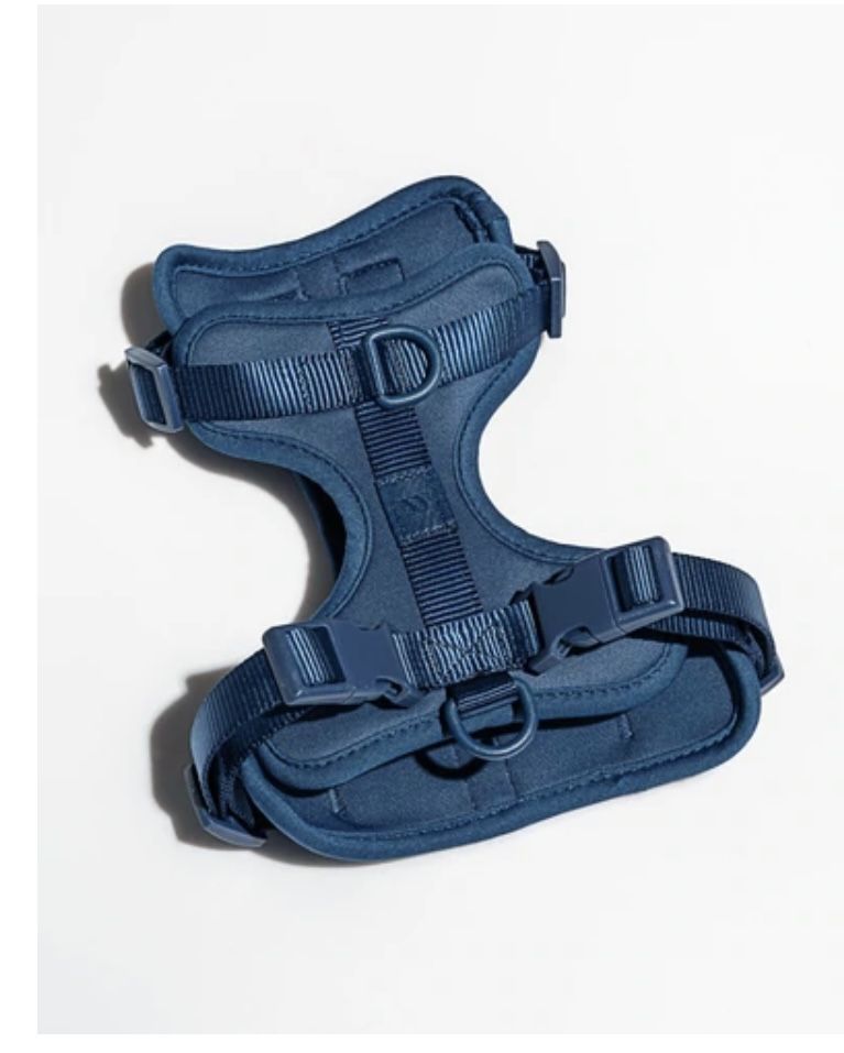 Navy Blue Harness 