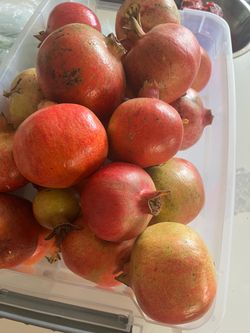 Organic pomegranates