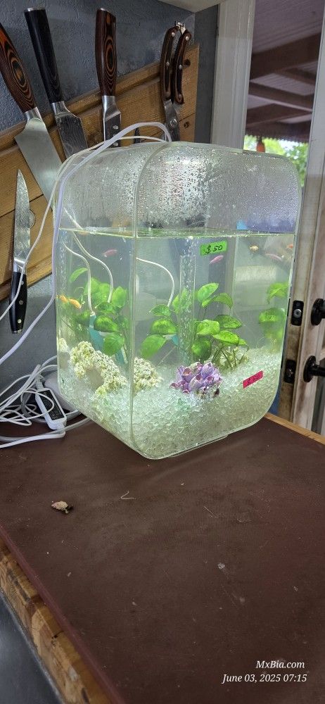 Tank