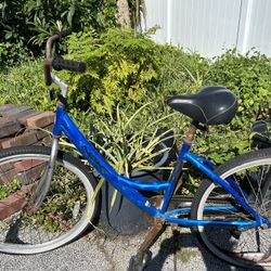 Next Beach Cruiser Rides Well Needs Tubes