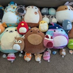 Squishmallows 