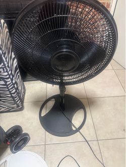 Two fans