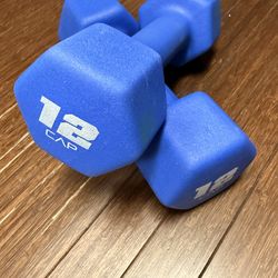 Two 12 lb Dumbbells