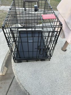 Pet Gage