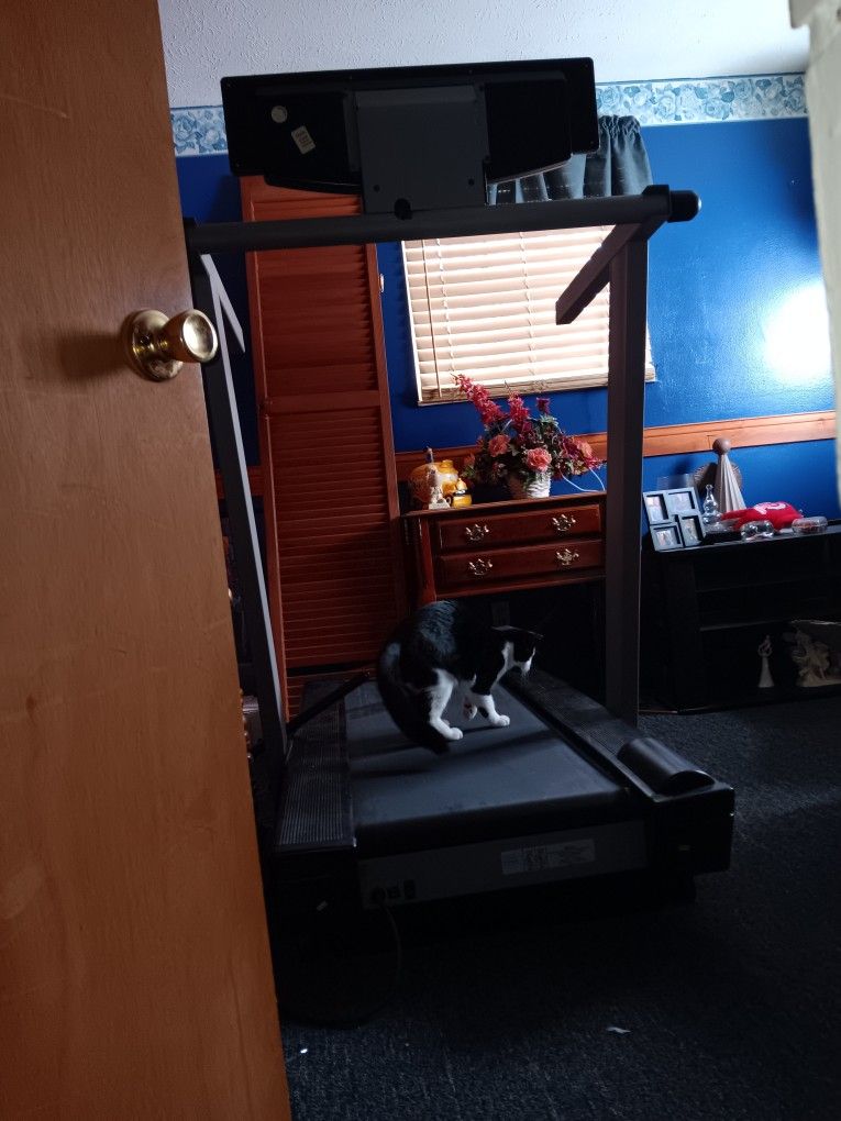Slightly Used Image Treadmill