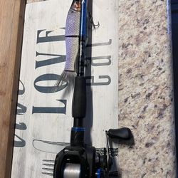 Swimbait Rod