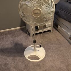 Fan 