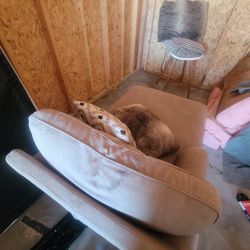Armchair, Washer/Dryer, Beds 