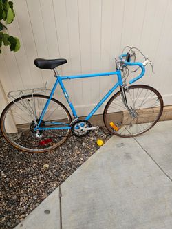Vintage Chicago Schwinn supersport.