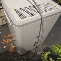 Dehumidifier.  God's Gift To People In Florida! 