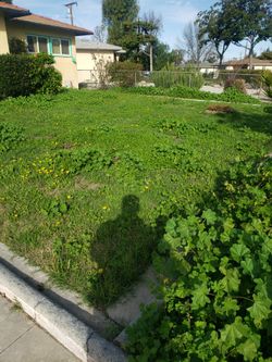 Jardinero
