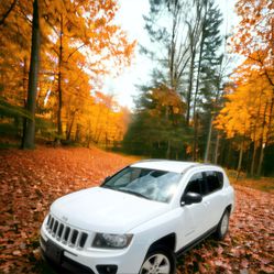 2014 Jeep Compass