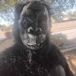 Gorilla Suit.