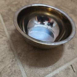 Stainless Steel Feeding Bowl